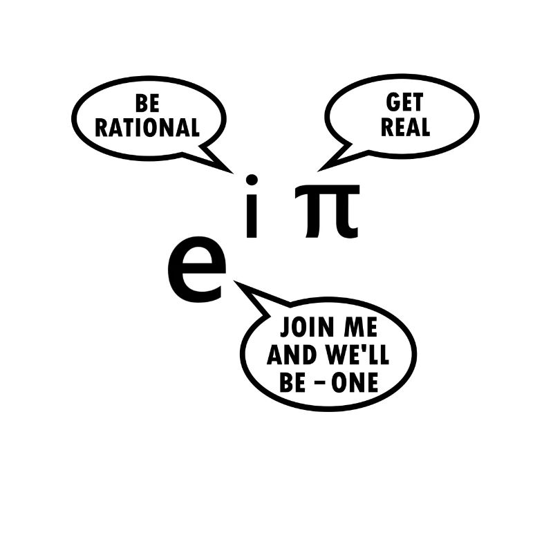 Mathematiker Geschenk Mathe Lehrer Nerd Euler Pi