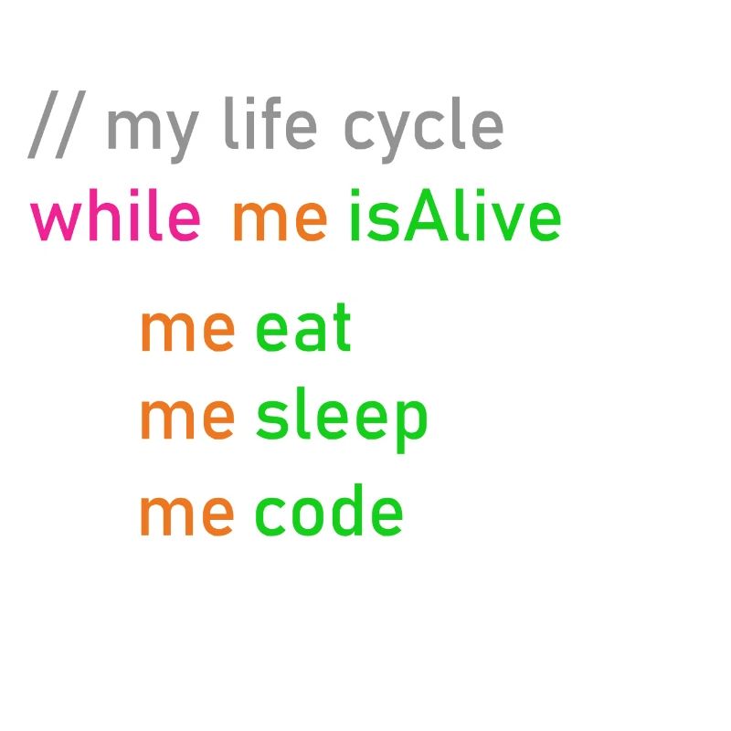 Cycle de vie programmeur cadeau de codeur informaticien