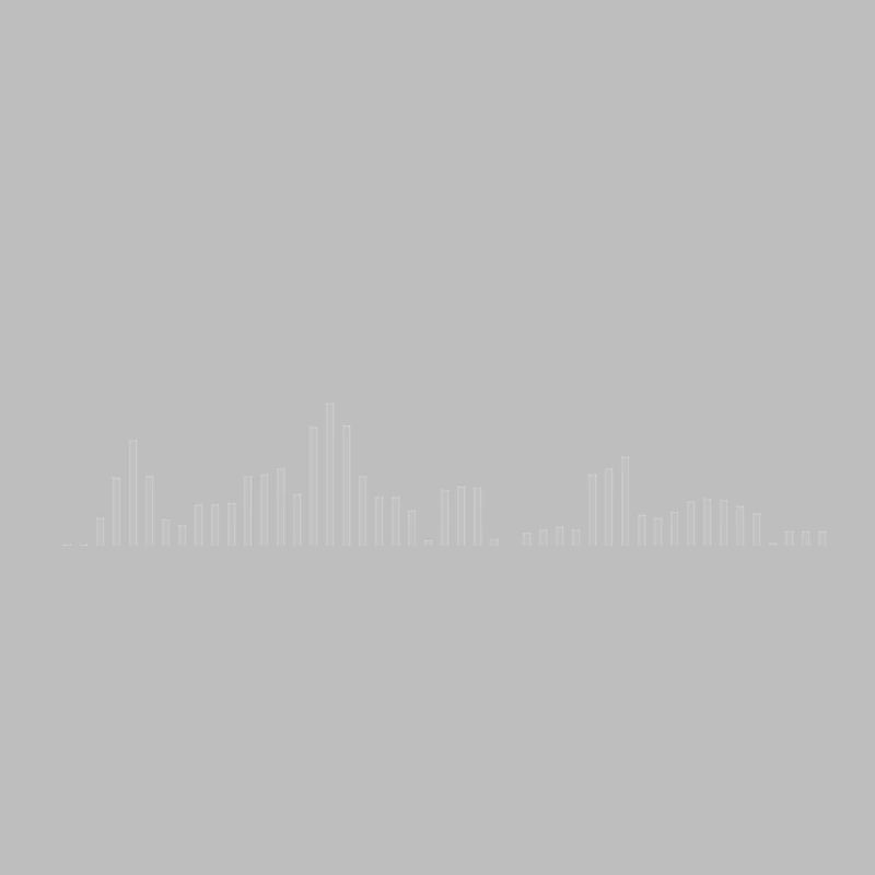 Visualizer