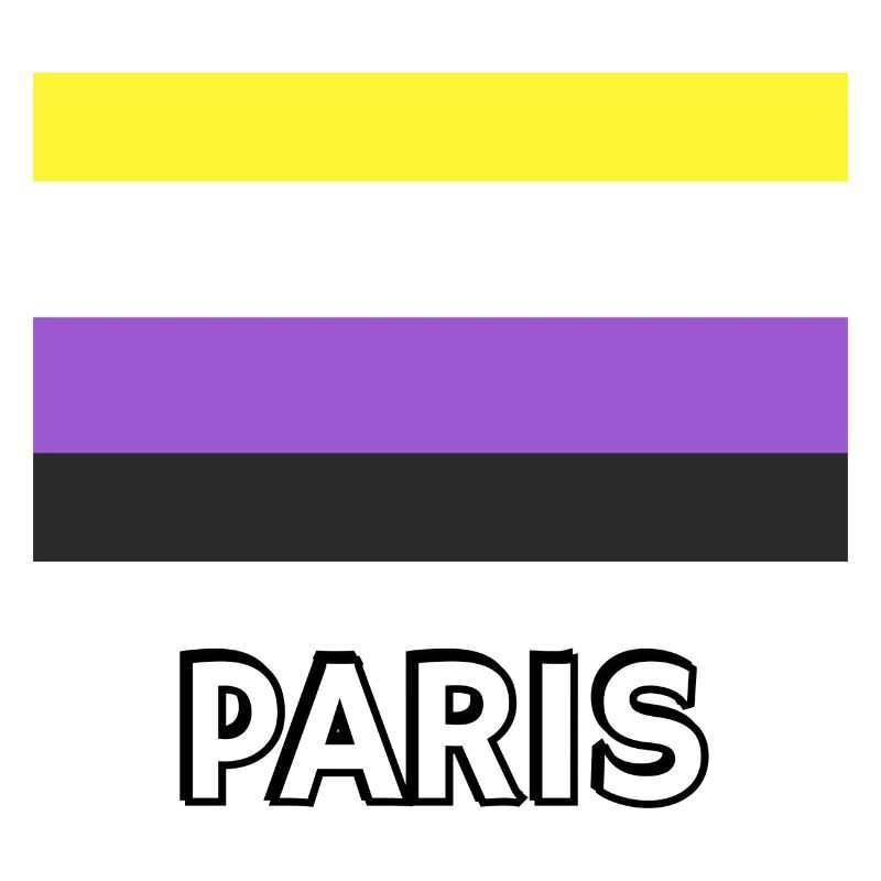 Non binary Pride Flag Paris