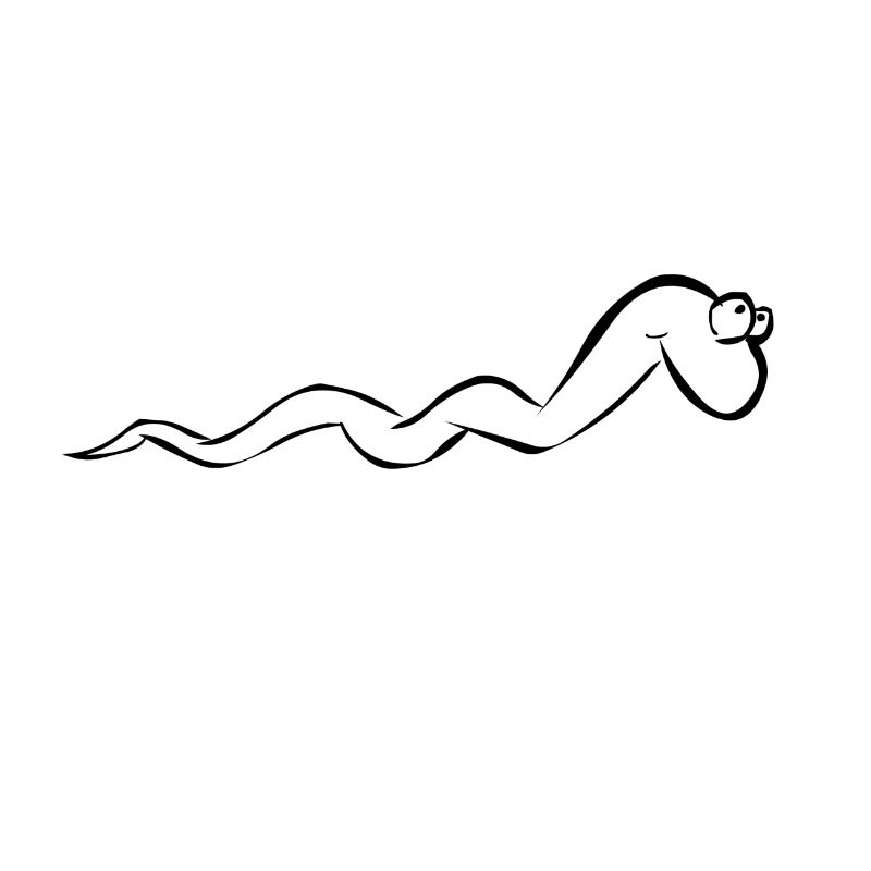 Jo l'asticot (basic) / Jo the maggot