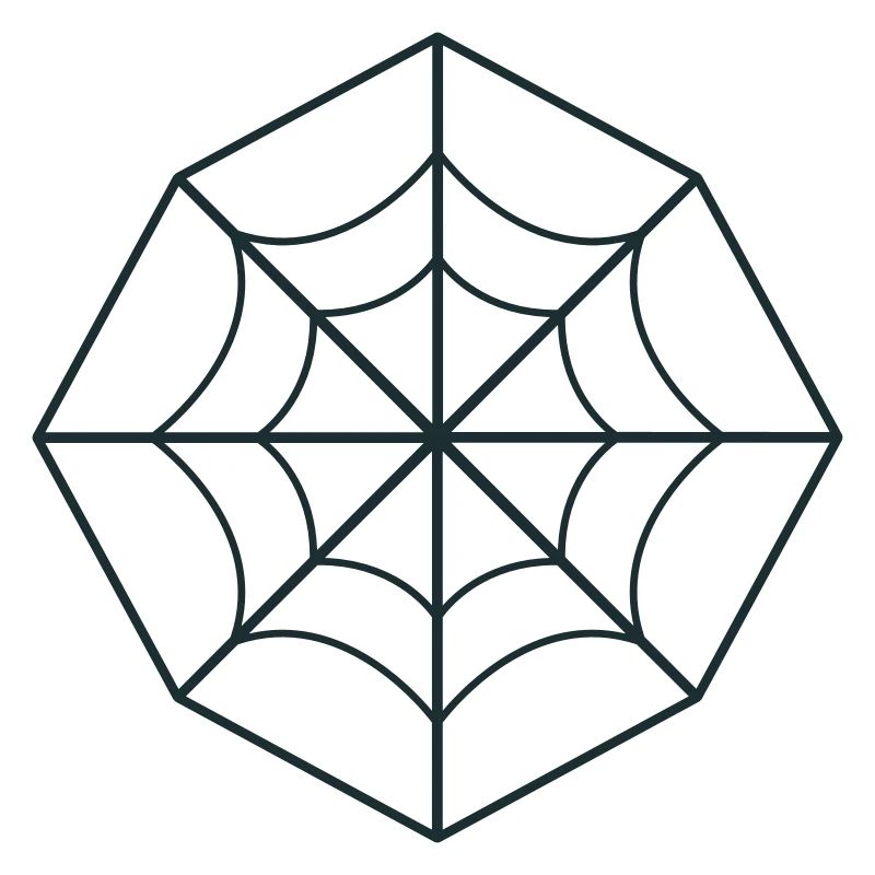 irregular spider web
