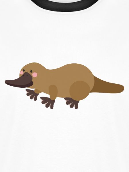 ornithorynque