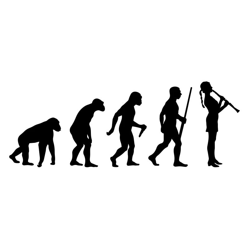 Évolution de la flûte féminine