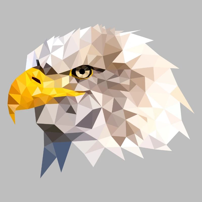Bald Eagle Sea Eagle American Eagle Eagle