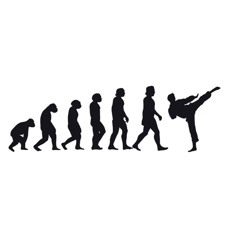 Évolution du karaté