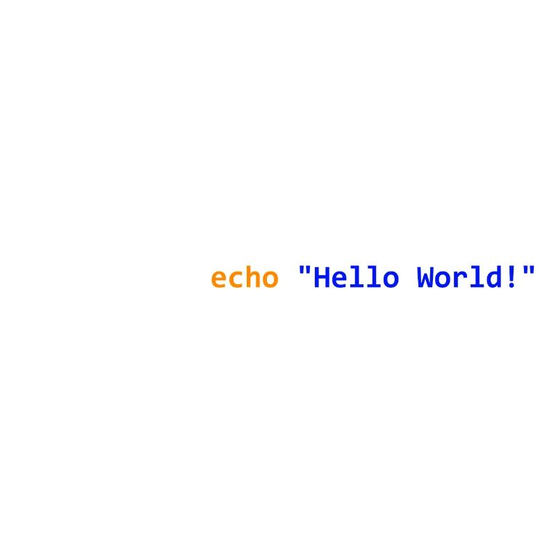 Hello World! Bash