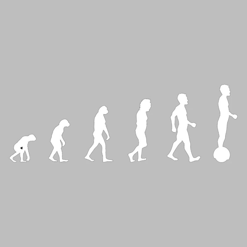 Gyroroue évolution