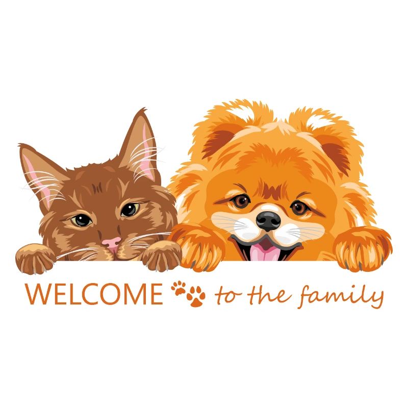Chat roux et chien de Poméranie