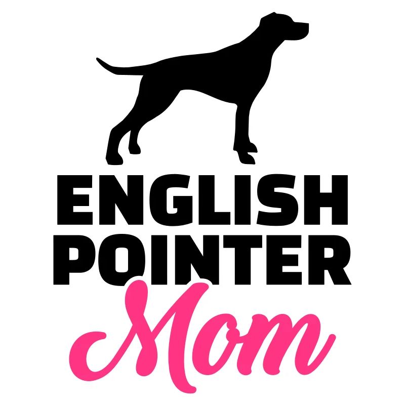 English Pointer