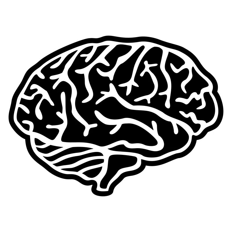 Brain
