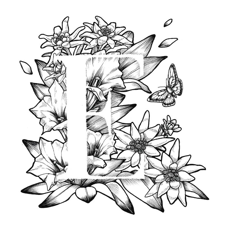 Initiale E