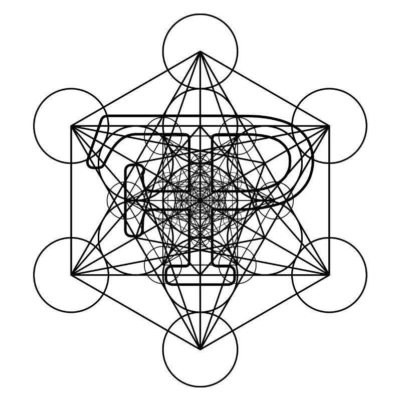 FramePace Metatron's Cube Schwarz