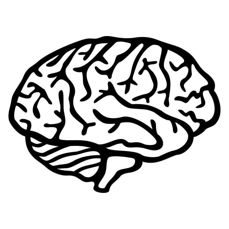 Brain
