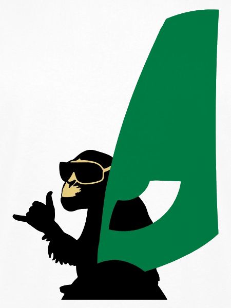 windsurfer monkey