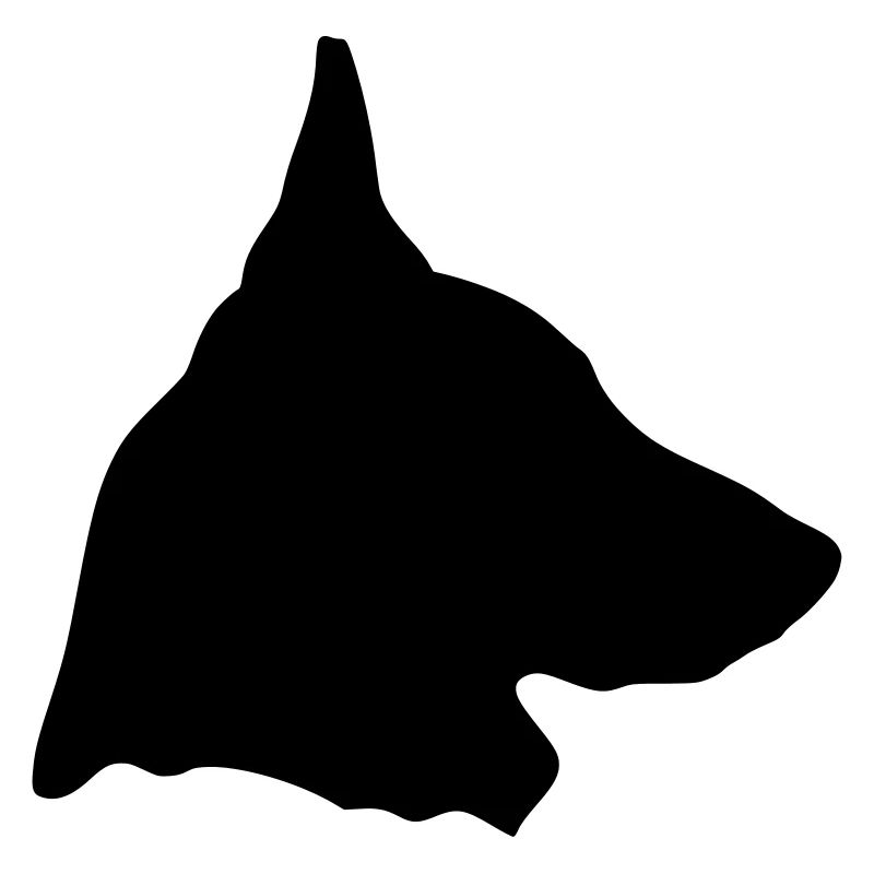 Belgischer Schäferhund Malinois im Profil (D)