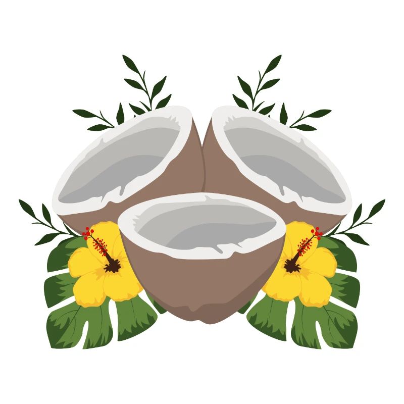Noix de coco d'été