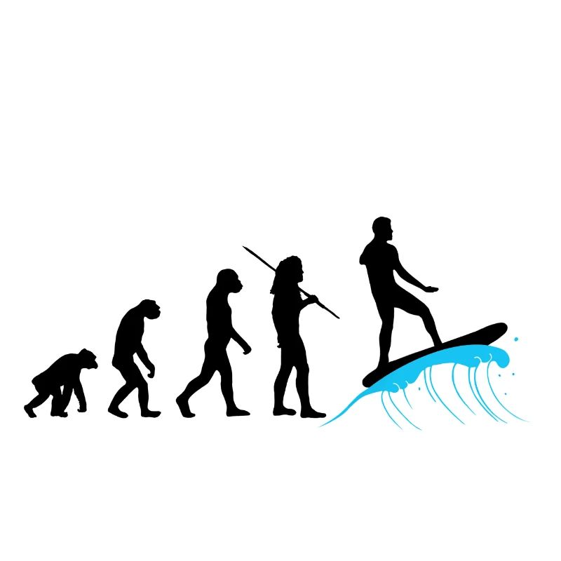 Évolution - Surf