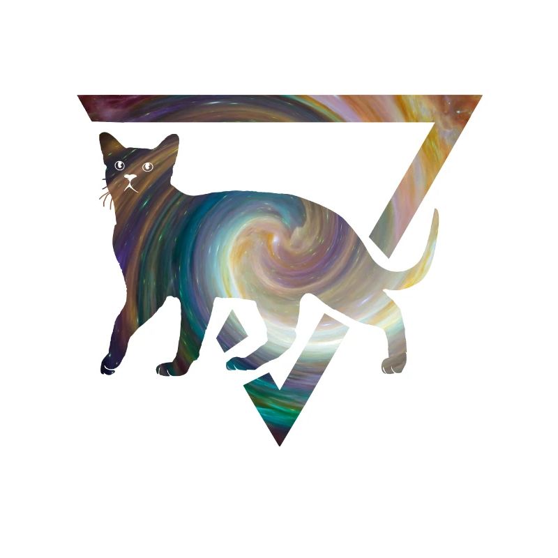 Birman dans un triangle de l'univers