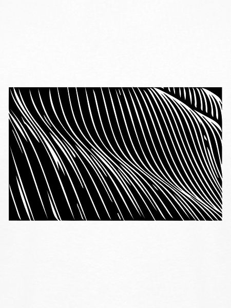 Zebra waves lines