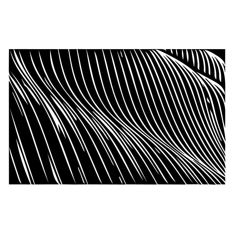 Lignes de vagues de zèbre