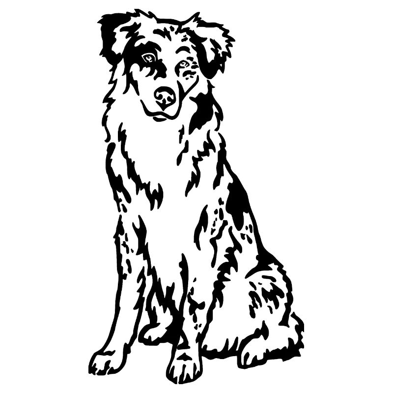 Australian Shepherd
