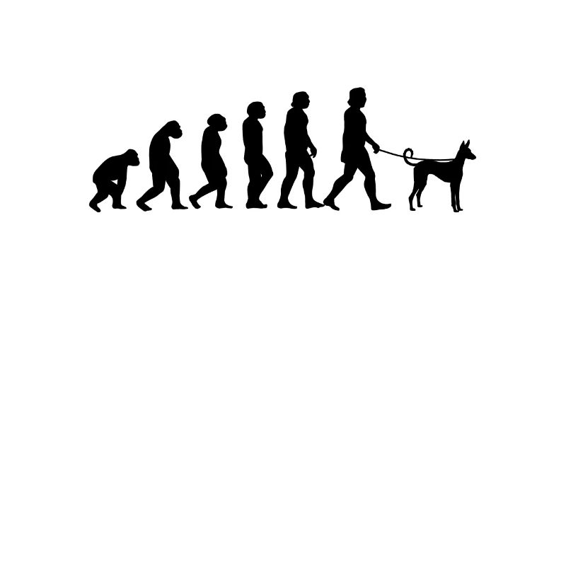 Podenco Evolution spanischer Jagdhund Geschenk