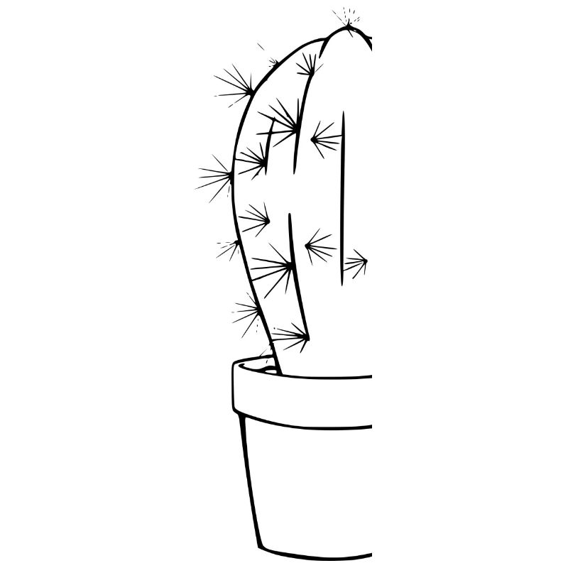 Toucher à vos risques et périls - cactus