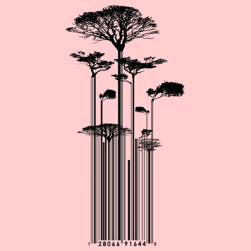 CODE BARRE - Arbre - conso