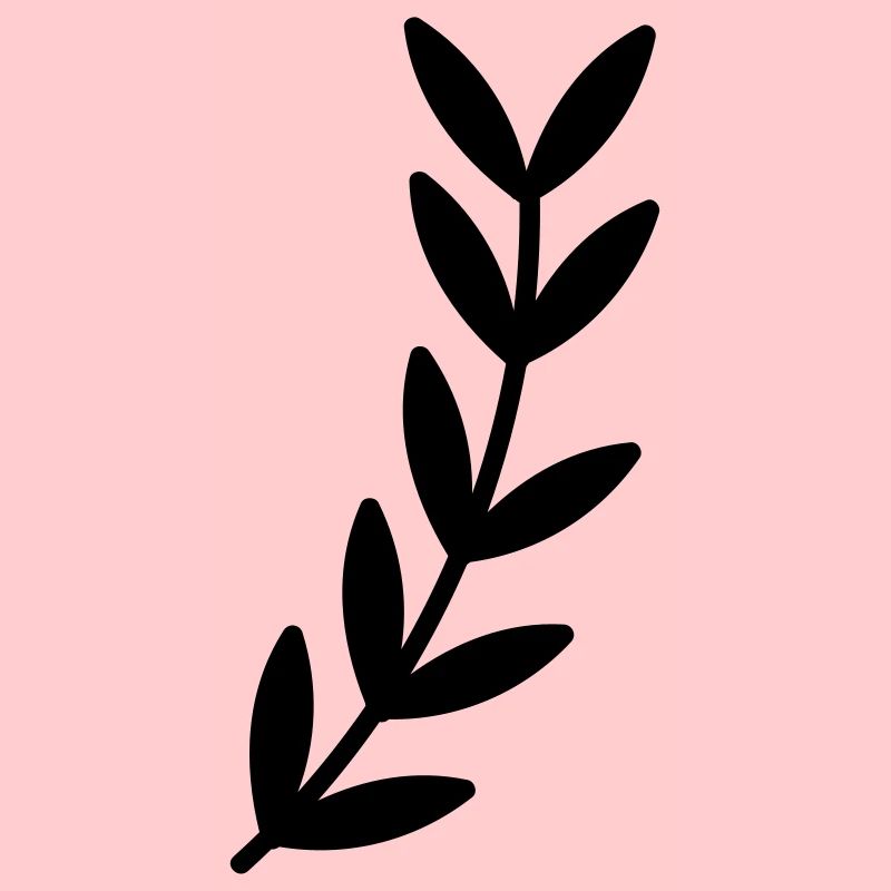 Branche branche feuille feuilles plante nature arbuste branches