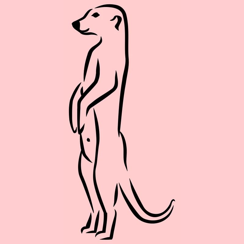 Erdmännchen