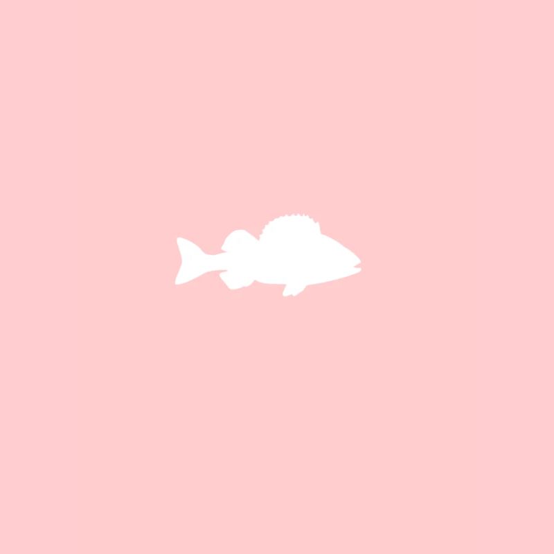 Perch white