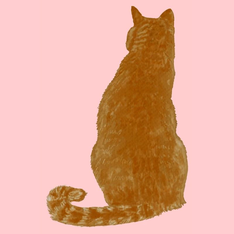 Blonde Katze