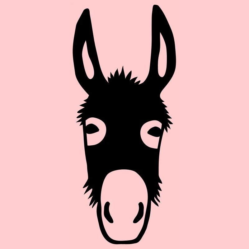 Ane cheval mule stupide obstiné