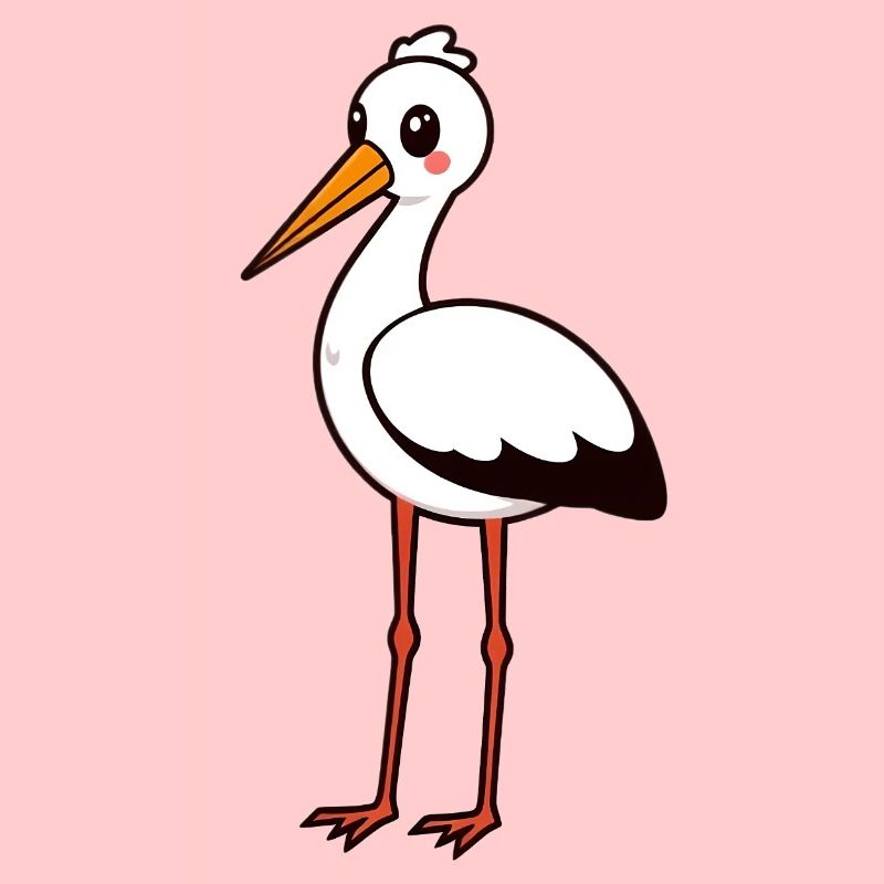 Storch