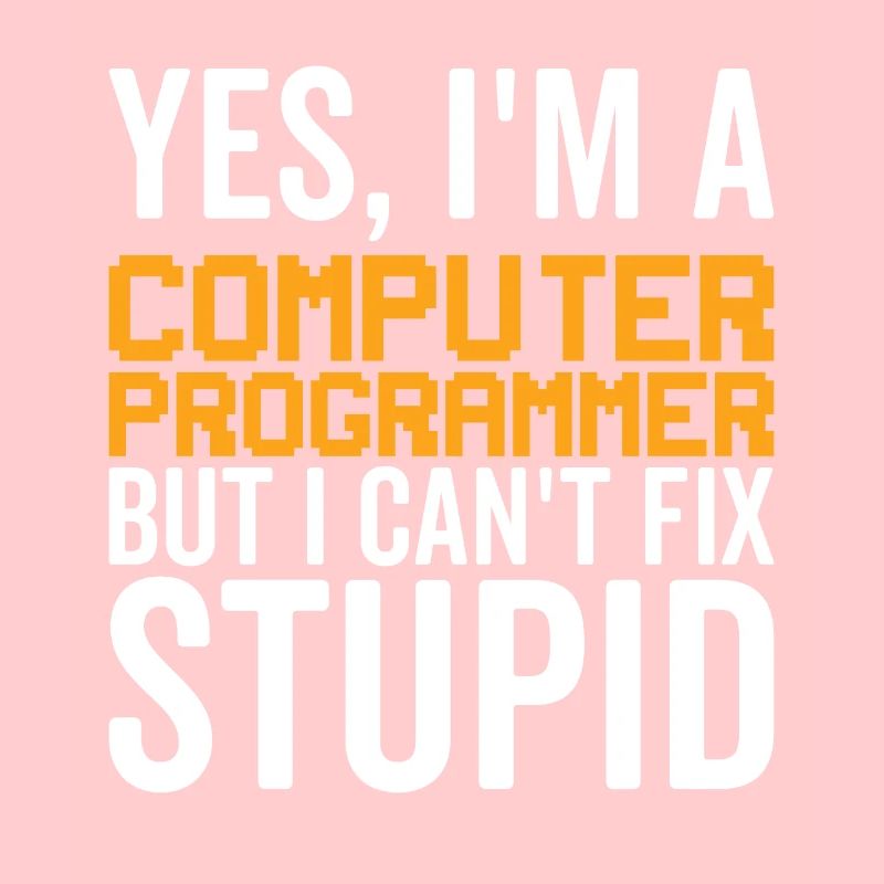 Stupide - Programmeur informatique