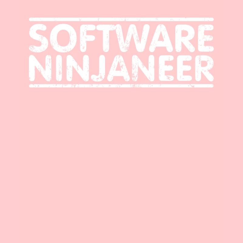 Ninjaneer - Software -Ingenieur