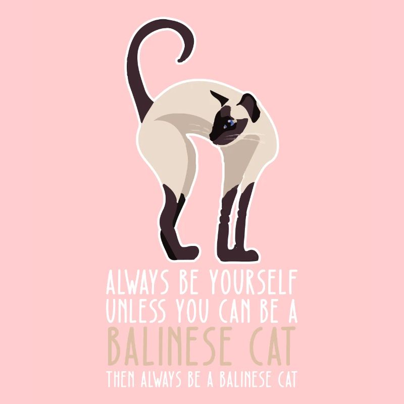 Be Yourself - Balinese Cat