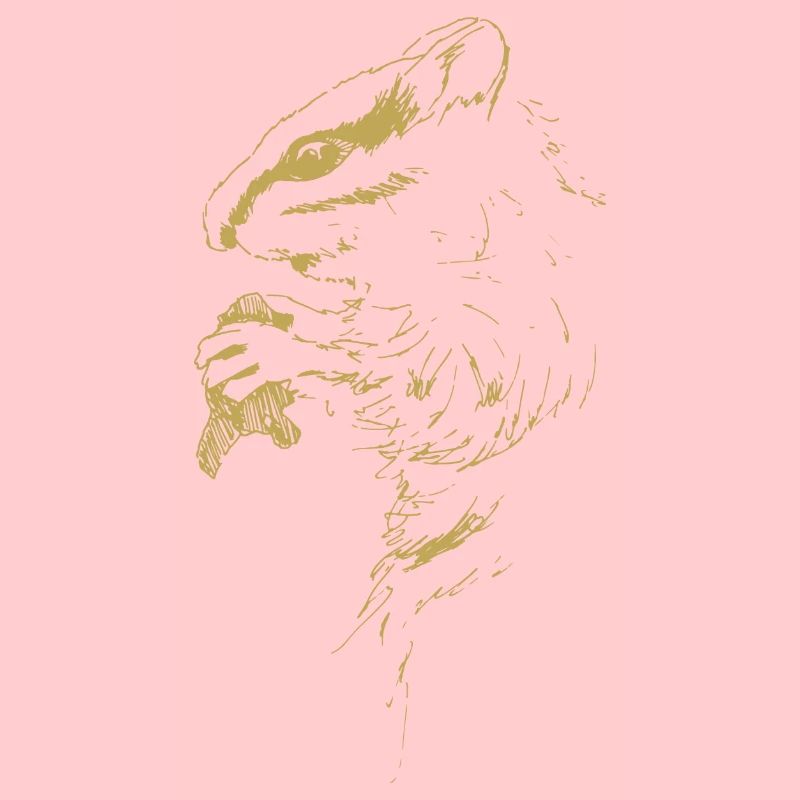 Illustrierte Designs mit Hörnchen