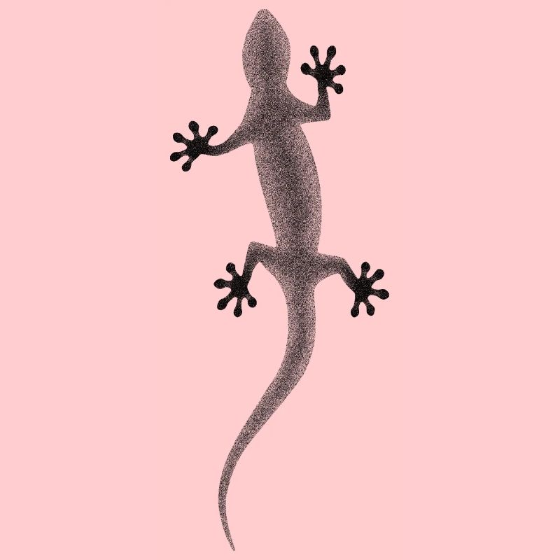Gecko