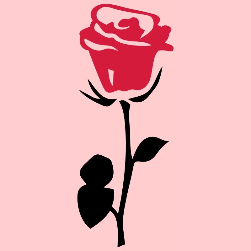 rose fleur