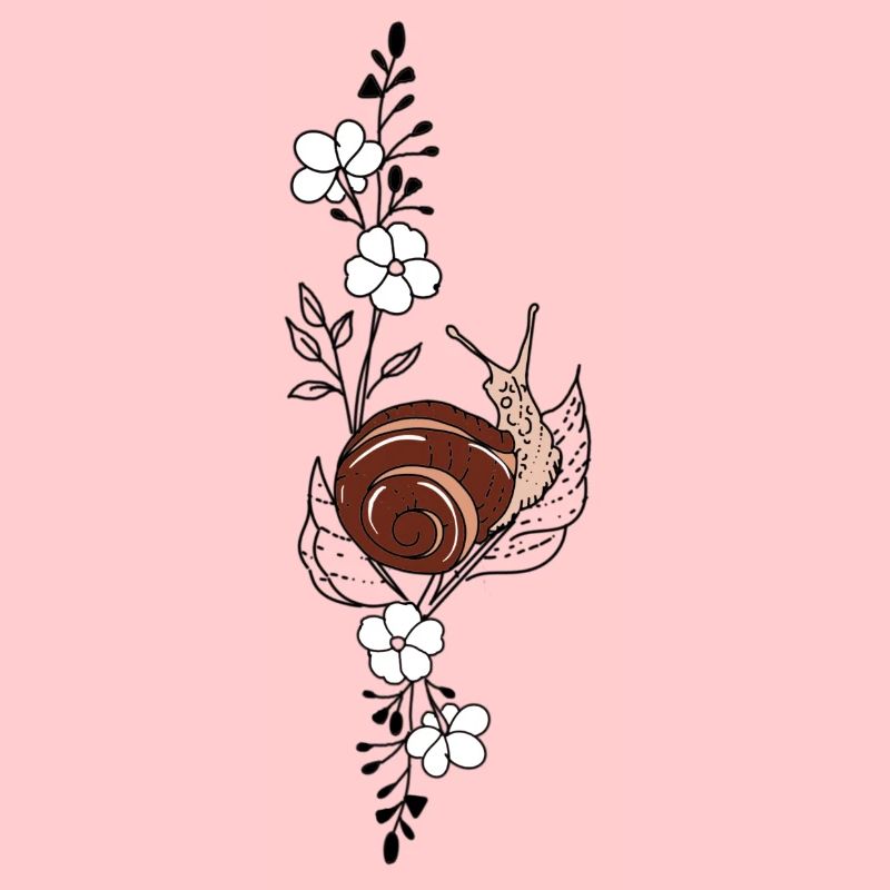 Schnecke