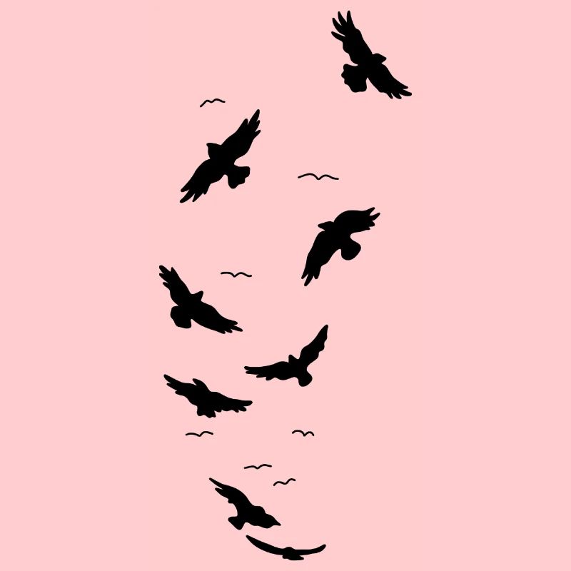 Ravens birds fly