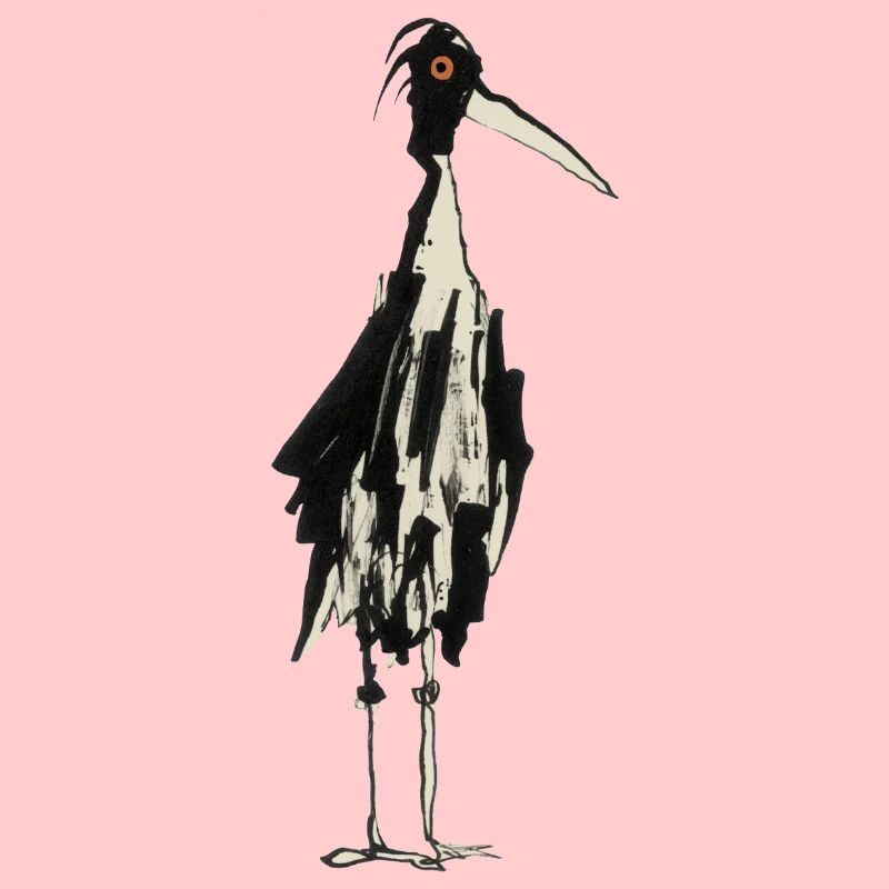 Storch