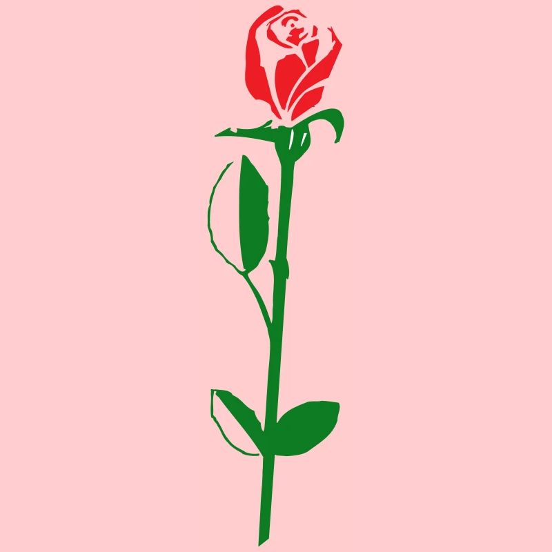 fleur de rose