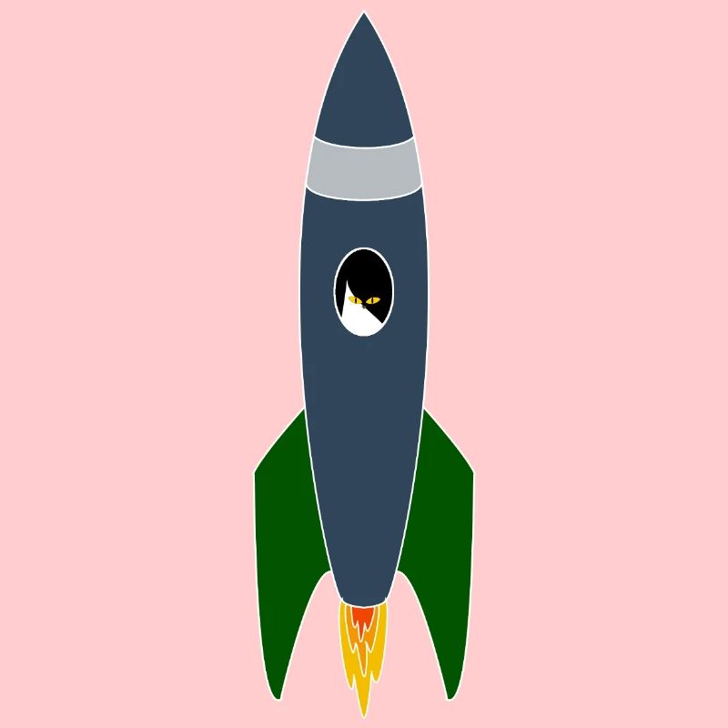 Cat in space