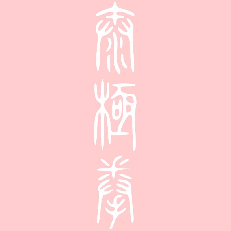 script de taiji II