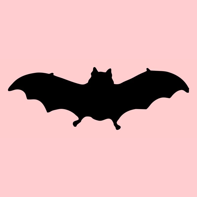 bat