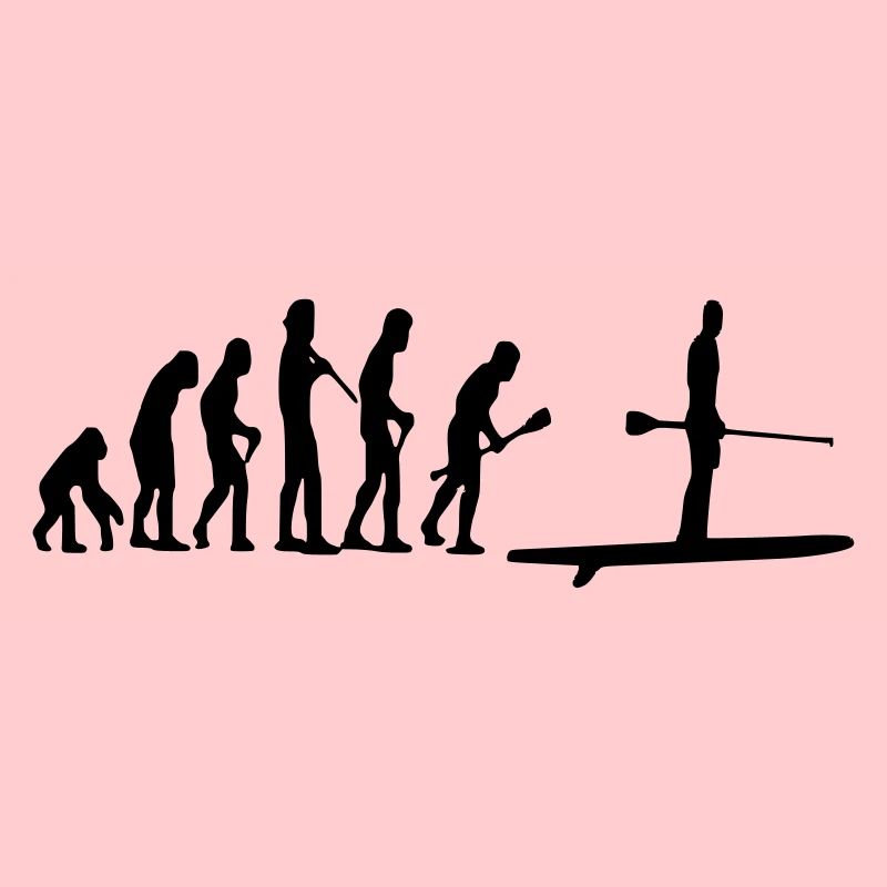 Paddle Evolution