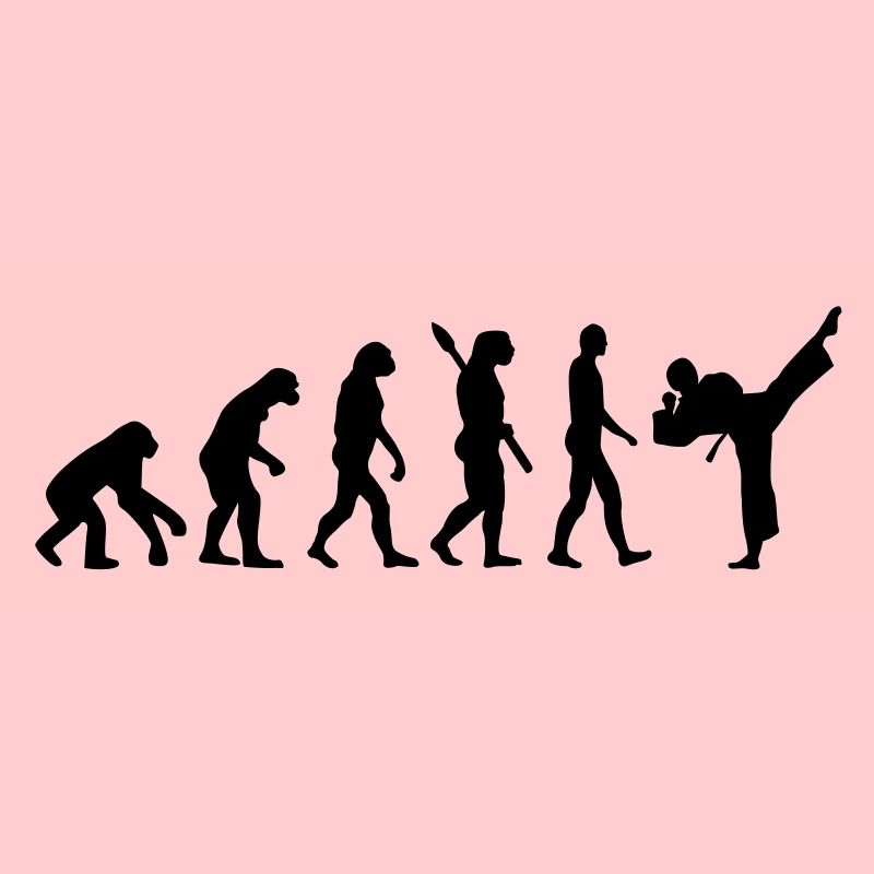 Evolution Karate